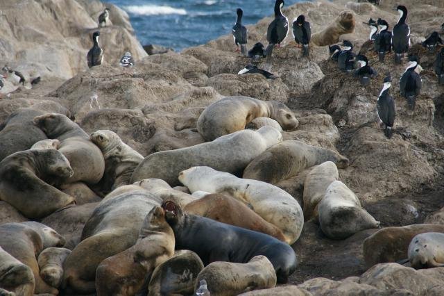 Urlaub in Südamerika 2011